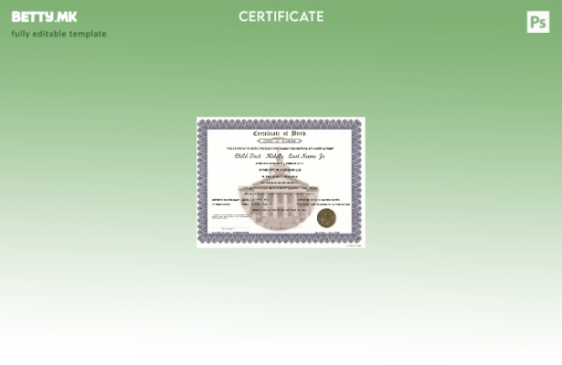 модерен стил Шаблон за извод од матична книга на родените во Соединетите Америка